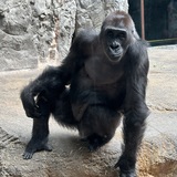 Entry image for Strike a pose 