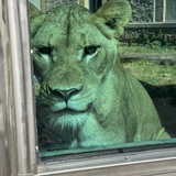 Entry image for Here's looking at you!