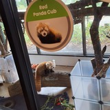 Entry image for Pretty as a Picture