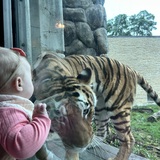 Entry image for Shhh! Can you keep a secret?