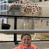 Entry image for Summer time and giraffes💕 Buffalo zoo is our favorite 