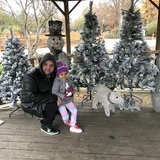 Entry image for Christmas spirit 🎄🎅🏻