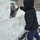 Entry image for "Otterly" Love