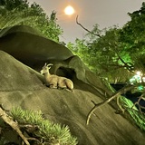 Entry image for Bedtime!