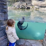 Entry image for Chloe and Sebastian