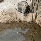 Entry image for Testing the Water