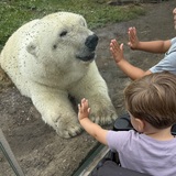 Entry image for Little hands