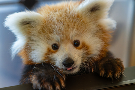 Entry image for Pre-School Portrait. Clicking this image will show a larger photo