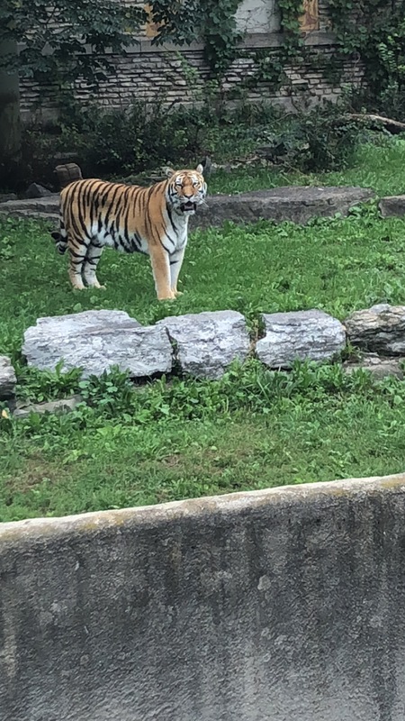 Entry image for Oh My . Clicking this image will show a larger photo