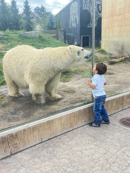 Entry image for Joey’s favorite stuffed animal!. Clicking this image will show a larger photo