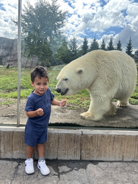 Entry image for Who’s got more muscle?. Clicking this image will show a larger photo