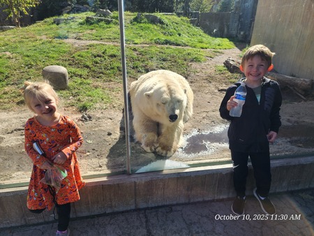 Entry image for Having a Beary Good Time!. Clicking this image will show a larger photo