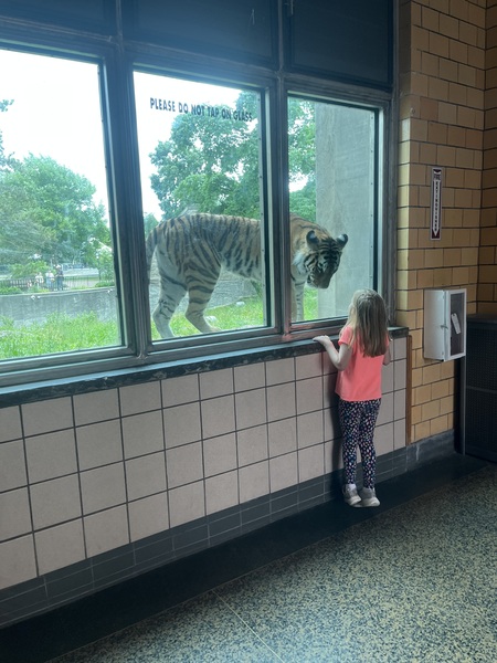 Entry image for Looking Good!. Clicking this image will show a larger photo