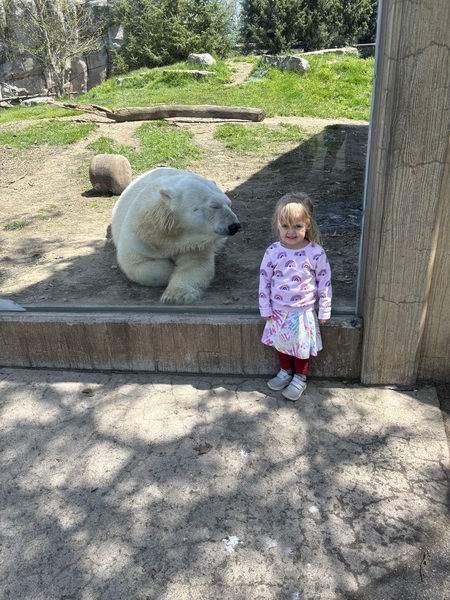 Entry image for Zoo day. Clicking this image will show a larger photo