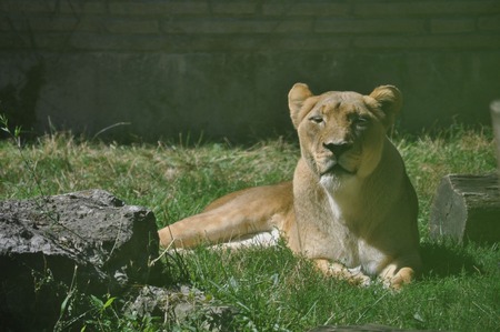 Entry image for Soakin up the sun. Clicking this image will show a larger photo