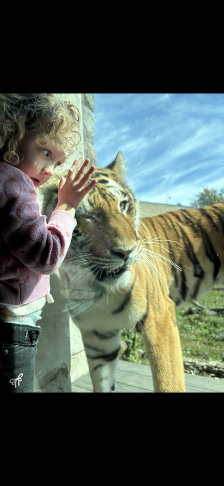 Entry image for Poppy Rose! . Clicking this image will show a larger photo