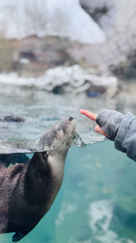 Entry image for “Boop!”. Clicking this image will show a larger photo