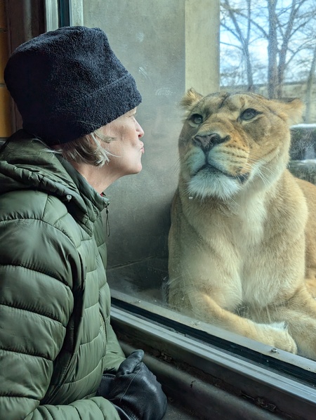 Entry image for Best Friends . Clicking this image will show a larger photo