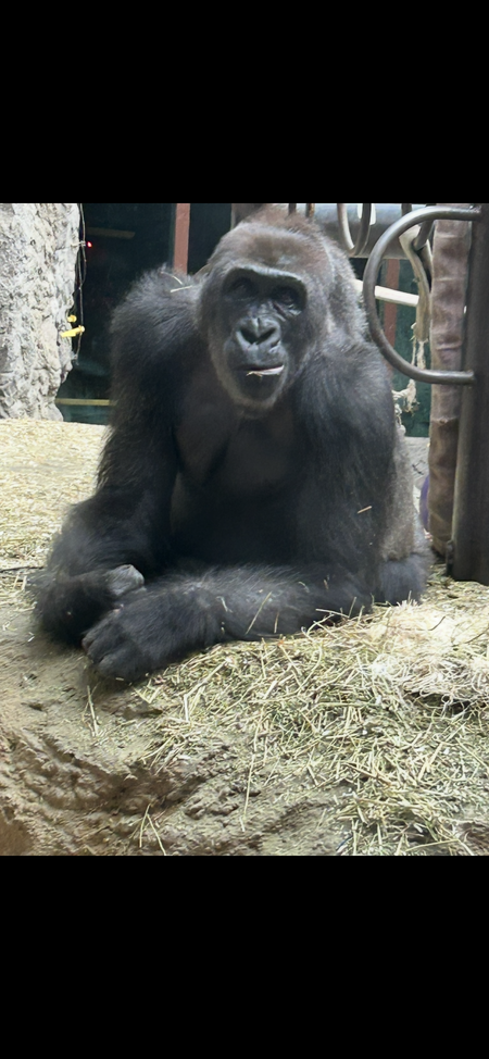 Entry image for Living the dream !. Clicking this image will show a larger photo