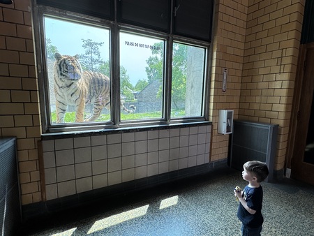 Entry image for Here, kitty kitty . Clicking this image will show a larger photo