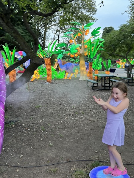 Entry image for Surprise Flower at Zoo lights . Clicking this image will show a larger photo