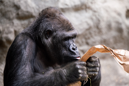 Entry image for How Much Did That Cost. Clicking this image will show a larger photo