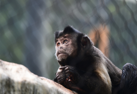 Entry image for Unbelievable . Clicking this image will show a larger photo