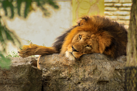 Entry image for Sharp Focus, Calm Soul. Clicking this image will show a larger photo