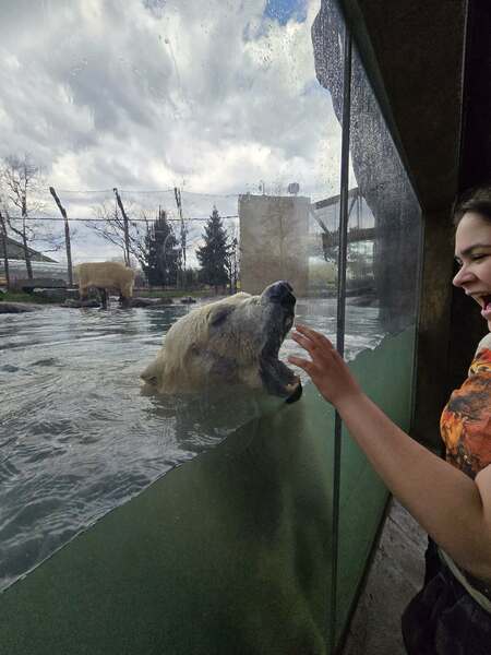 Entry image for Bear with Me. Clicking this image will show a larger photo