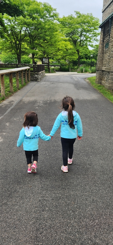 Entry image for Zoo Crew. Clicking this image will show a larger photo