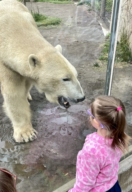 Entry image for Boundless courage. Clicking this image will show a larger photo