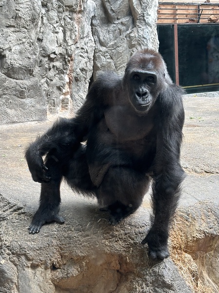 Entry image for Strike a pose . Clicking this image will show a larger photo