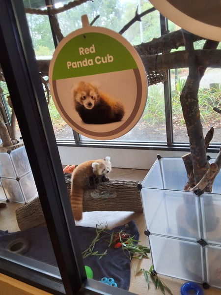 Entry image for Pretty as a Picture. Clicking this image will show a larger photo