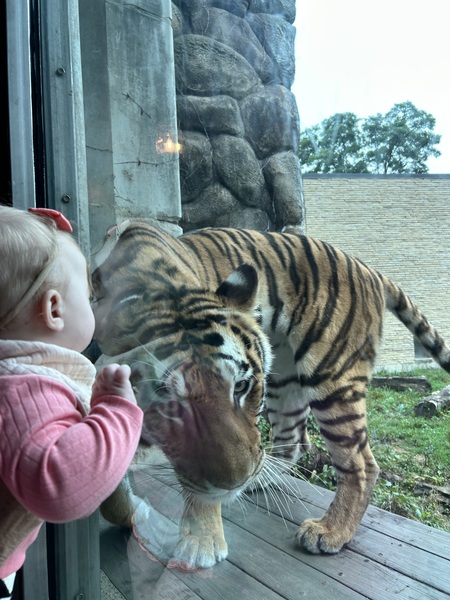 Entry image for Shhh! Can you keep a secret?. Clicking this image will show a larger photo