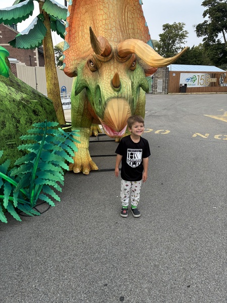 Entry image for Dinner Time?. Clicking this image will show a larger photo