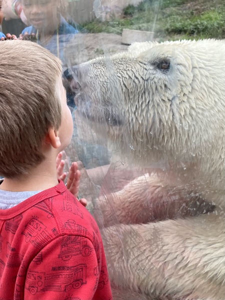 Entry image for Polar Bear Kisses. Clicking this image will show a larger photo