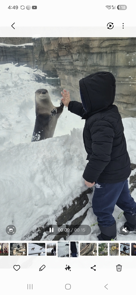 Entry image for "Otterly" Love. Clicking this image will show a larger photo