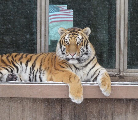 Entry image for Sungari . Clicking this image will show a larger photo