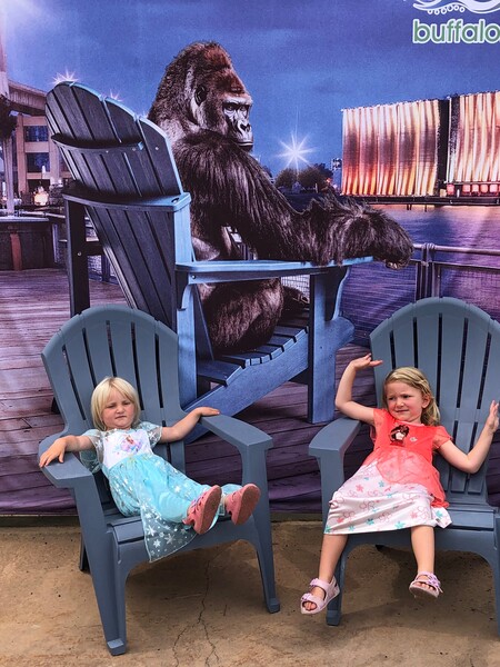 Entry image for Long Day at the Zoo. Clicking this image will show a larger photo