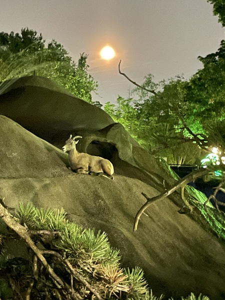 Entry image for Bedtime!. Clicking this image will show a larger photo