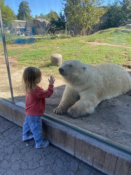 Entry image for Chloe and Luna. Clicking this image will show a larger photo