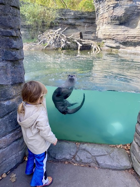 Entry image for Chloe and Sebastian. Clicking this image will show a larger photo