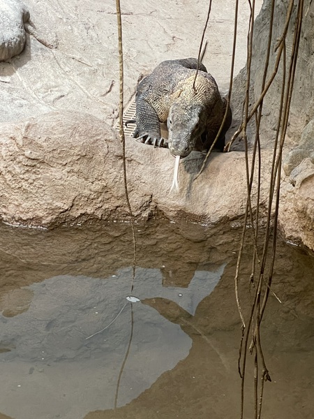 Entry image for Testing the Water. Clicking this image will show a larger photo