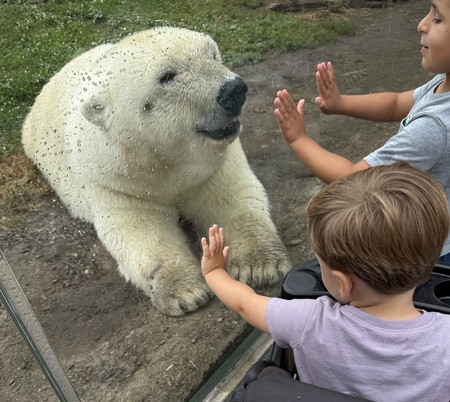 Entry image for Little hands. Clicking this image will show a larger photo