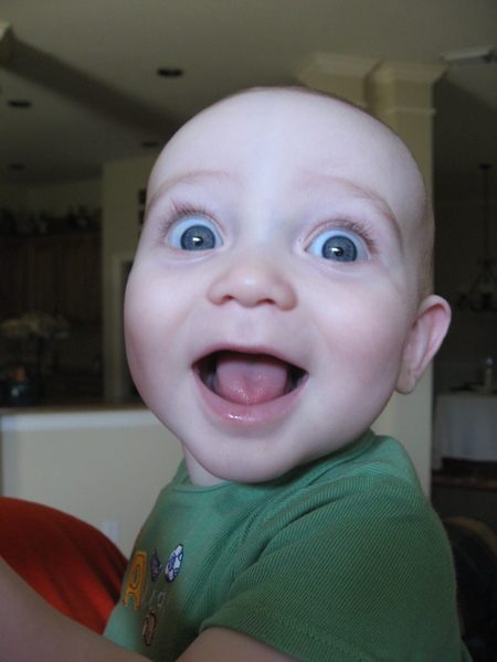 Entry image for Mr Big Blue Eyes. Clicking this image will show a larger photo