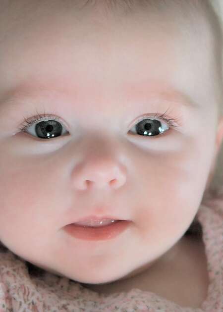 Entry image for Avery. Clicking this image will show a larger photo