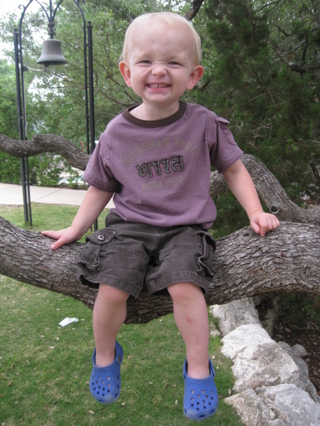 Entry image for Cheesy. Clicking this image will show a larger photo