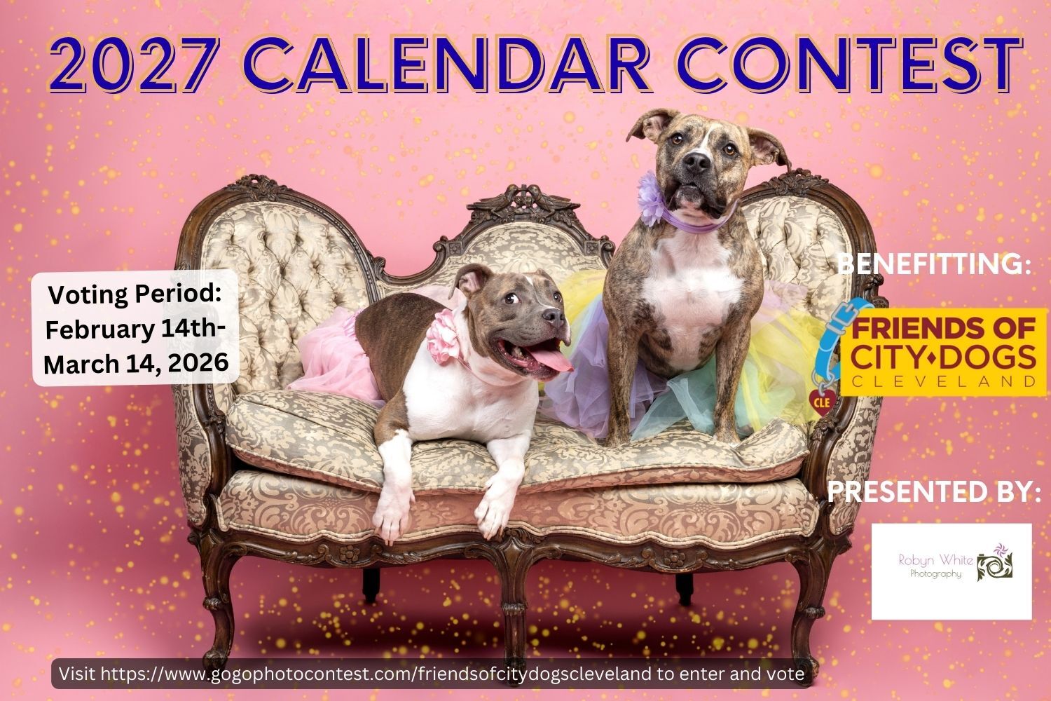 Banner for Friends of CITY DOGS Cleveland Calendar Contest