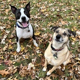 Entry image for Benji and Marty McFly