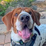 Entry image for FLOYD